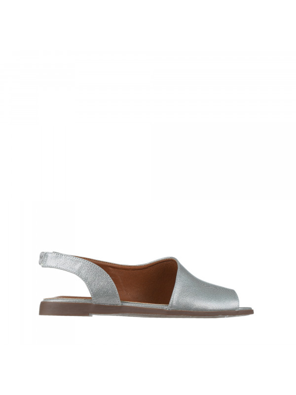 N79862 Braon-siva